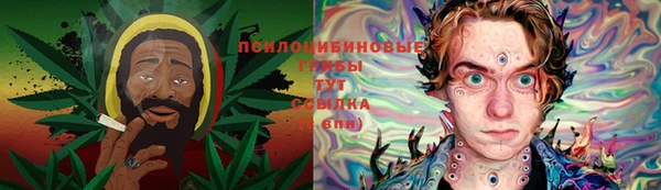 прущие грибы Бронницы