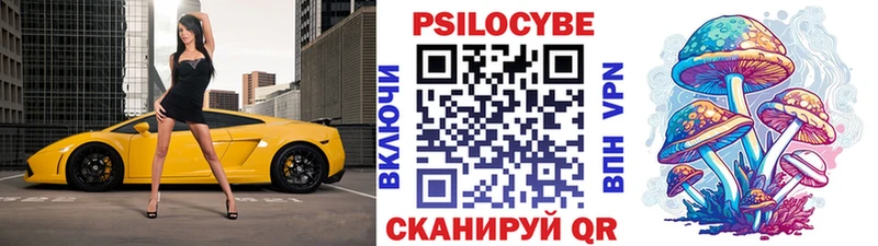 Галлюциногенные грибы Psilocybine cubensis  Жуков 